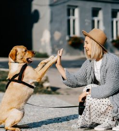 3 conseils utiles pour rendre votre chien heureux