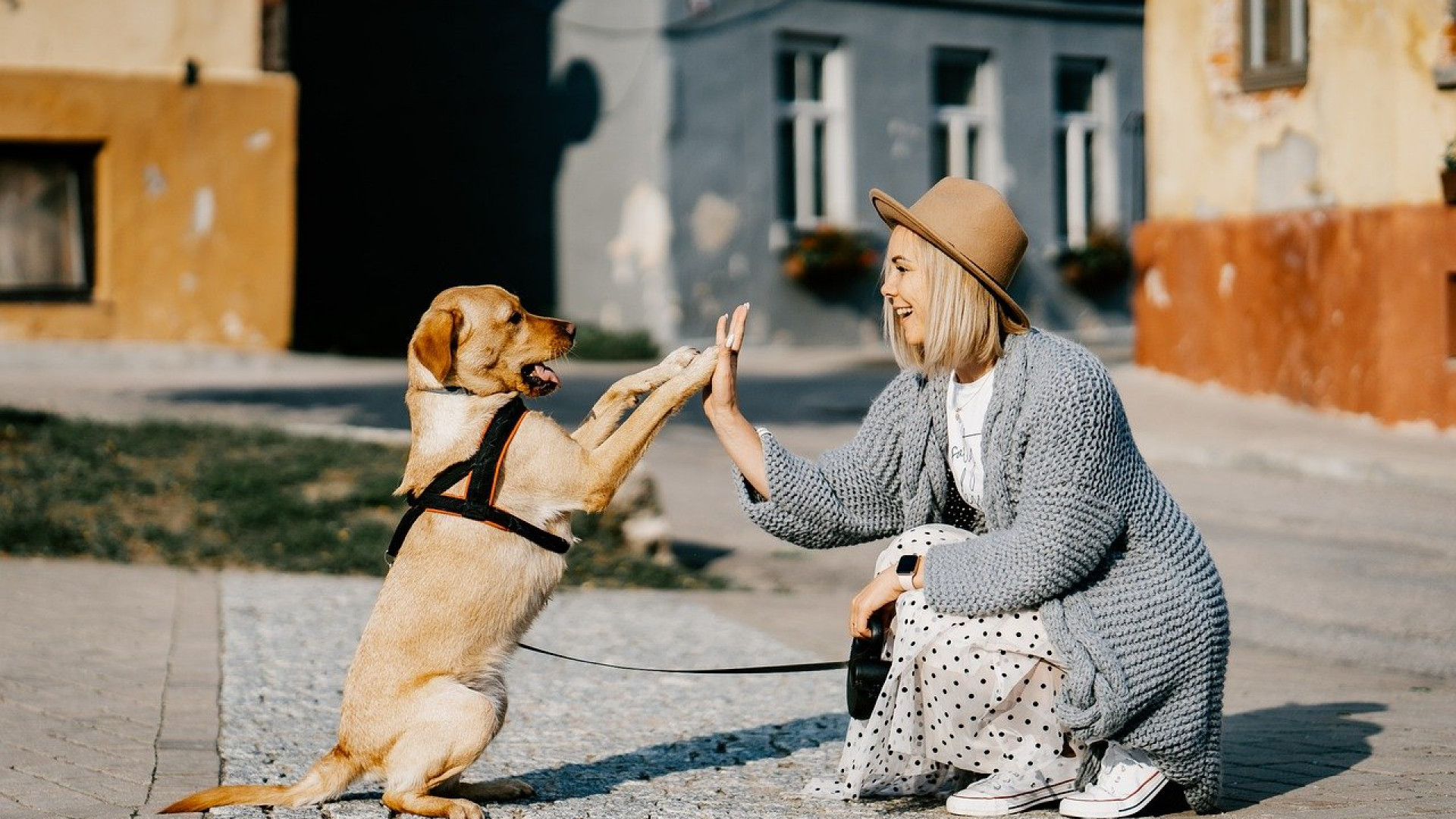 3 conseils utiles pour rendre votre chien heureux