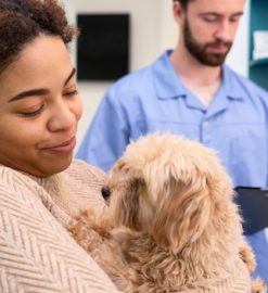Mutuelle pour animaux : un choix malin pour anticiper les frais vétérinaires !