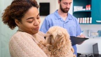 Mutuelle pour animaux : un choix malin pour anticiper les frais vétérinaires !