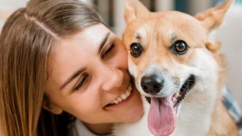 Tout savoir sur l’assurance animaux pour éviter les dépenses vétérinaires imprévues